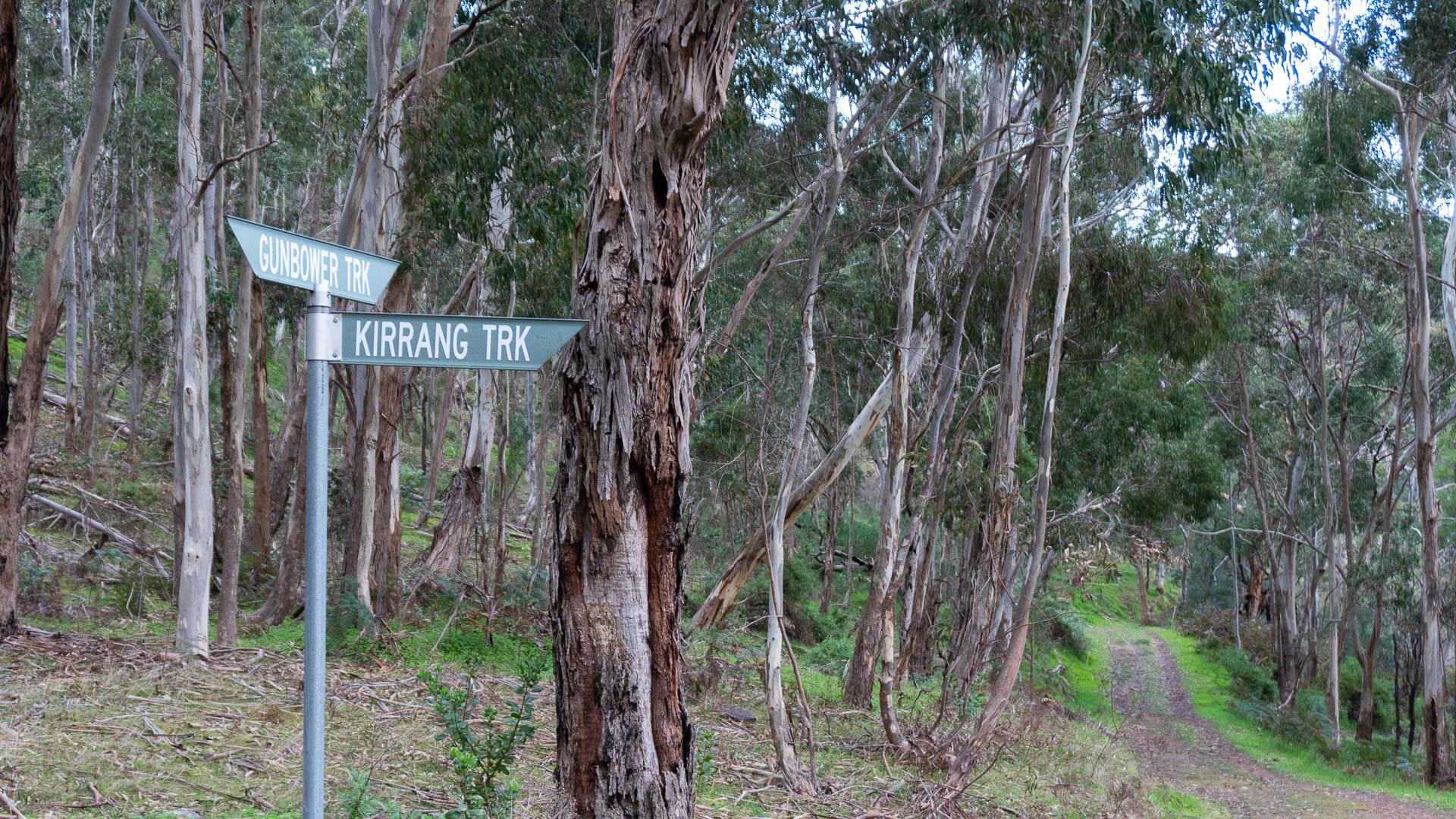 Cleland Mountain Bike Trail Guide