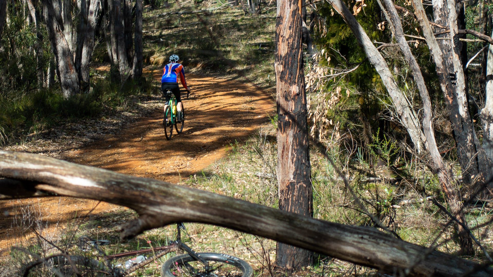 Cleland Mountain Bike Trail Guide