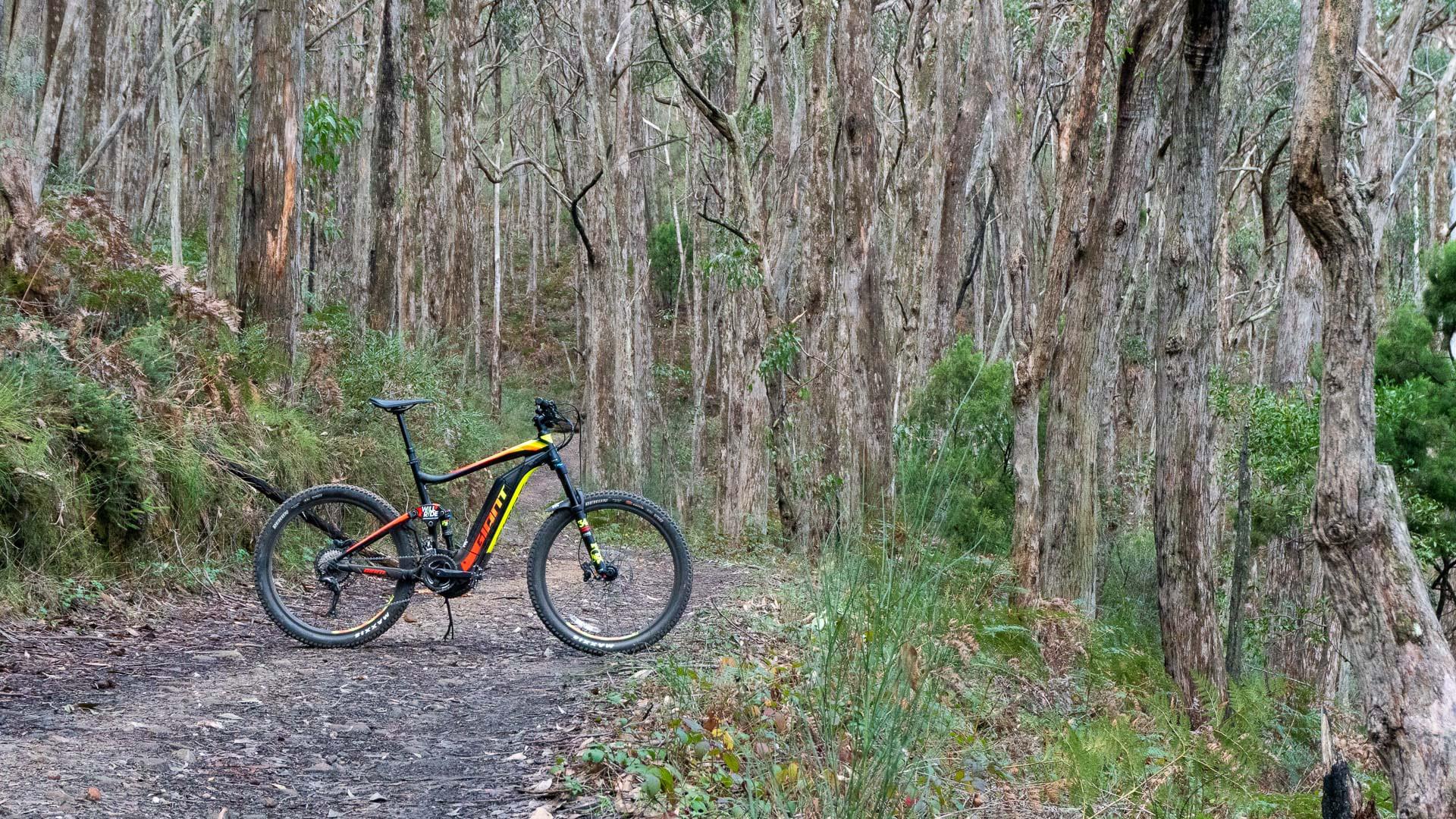 Cleland Mountain Bike Trail Guide